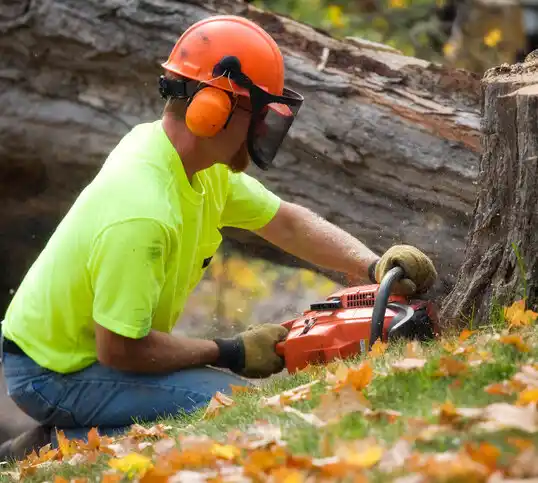 tree services White Horse